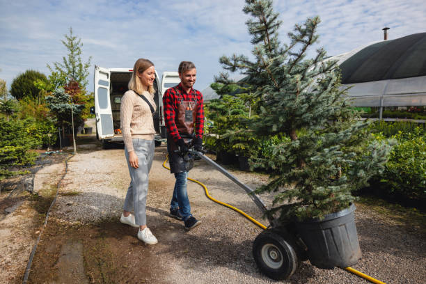 Best Tree Branch Trimming  in Pennington Gap, VA